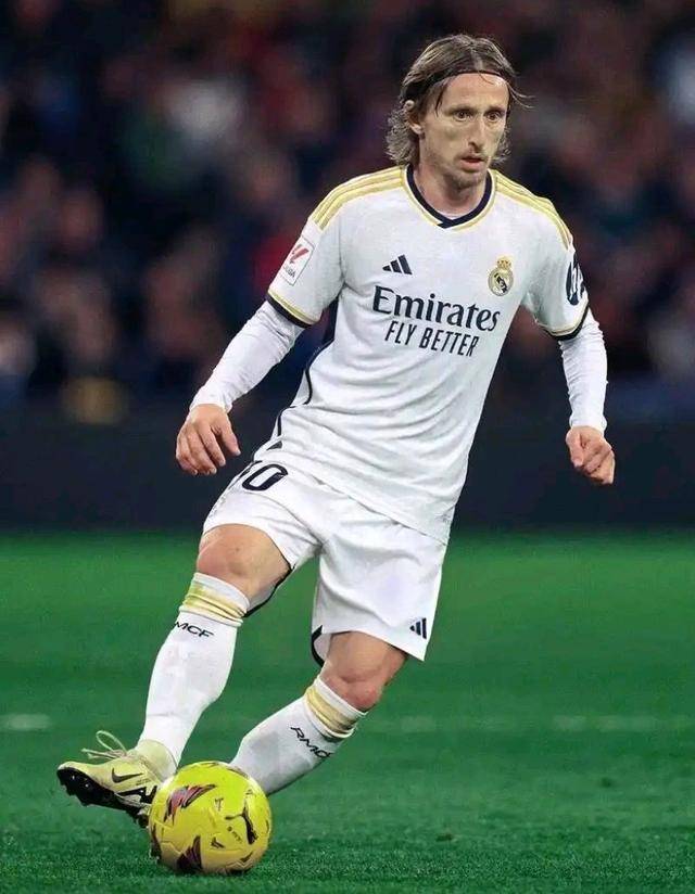 新鹏城队将于11月14日举办球迷开放日活动，今天14点开启报名